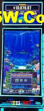 VIP Casino Z11 Bet
