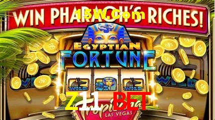 Benefícios da Conta Z11 Bet
