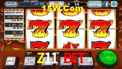 Sistemas de Segurança Z11 Bet